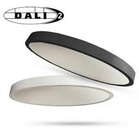 DALI lights &amp; control: Intelligent lighting...