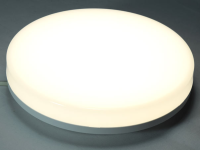 22cm LED dome light IP44 15W 4000K neutral white 3