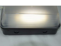Anti Vandalen Leuchte LED 4000K IP65 und IK10 3