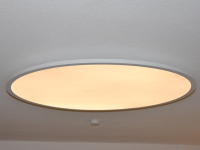 Large round 100cm LED ceiling light color change and remote 