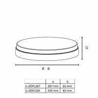 What setting options are available for this ceiling light wi