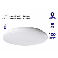 Sehr helle und effiziente Lampe mit Bewegungsmelder Aussen m